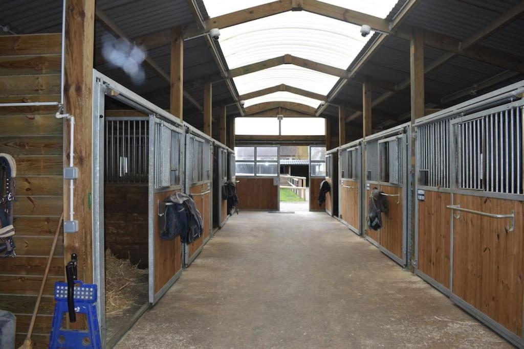 Haras De Connincthun
