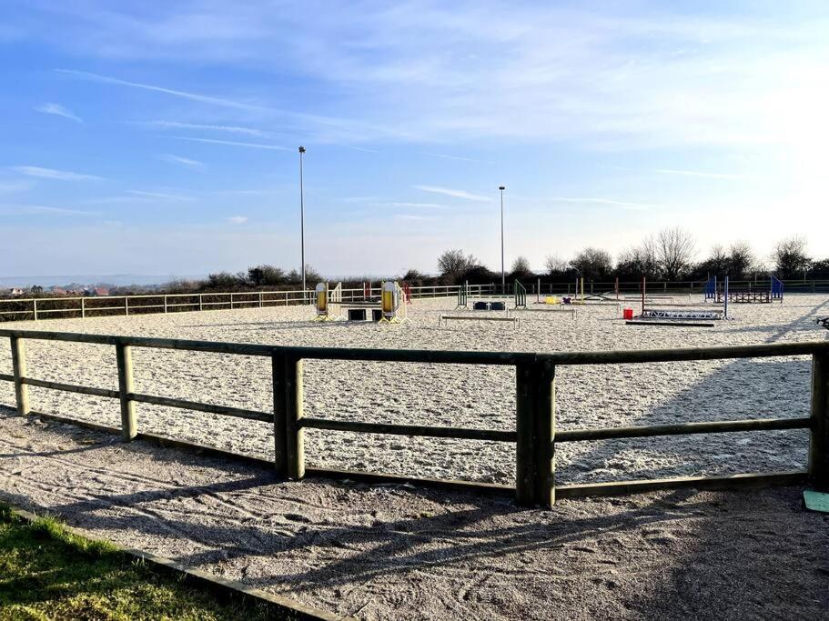 Haras De Connincthun *